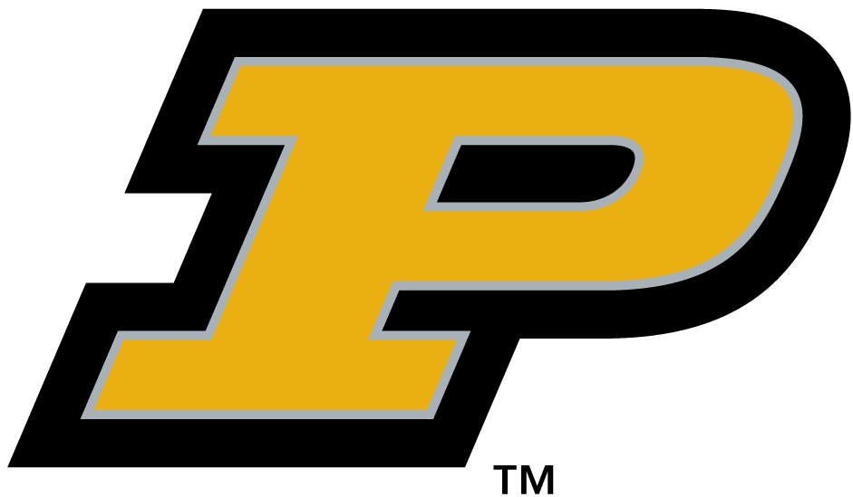 Purdue Boilermakers 1996-2011 Alternate Logo v2 iron on transfers for clothing